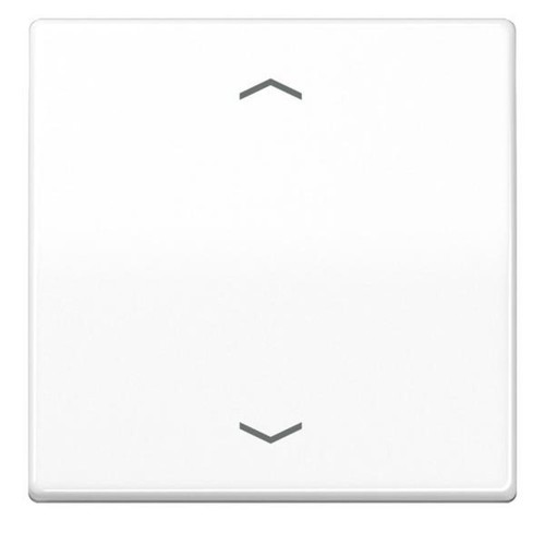 Jung wippe symbole aws 591 - jung,