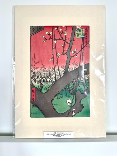 Hiroshige 100 ansichten - hiroshige,
