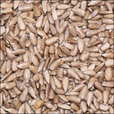 Sonnenblumenkerne geschält