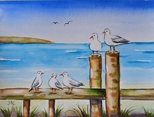 Möwen Wasservögel Strand