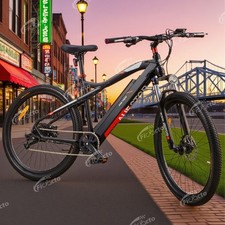 29 Zoll Herren/Damen