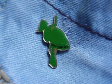 Pin Harz Brockenhexe Brocken Wernigerode Sachsen-Anhalt Deutschland grün