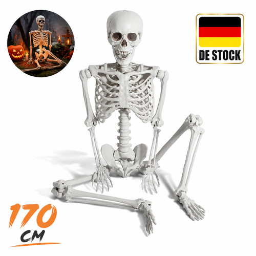 Skelett halloween lebensgroß - skelett,