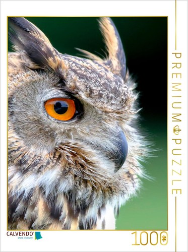 Calvendo puzzle eule 1000 - calvendo,