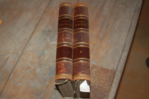 Erdgeschichte bände 1 - erdgeschichte,