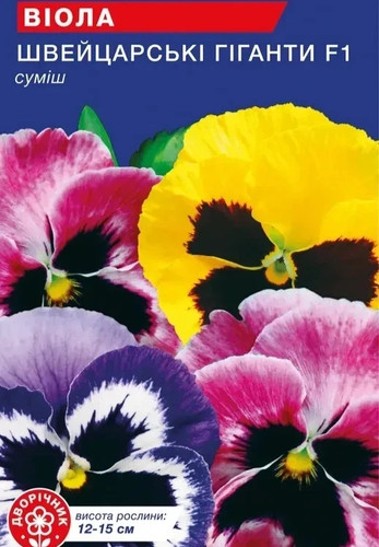 Viola stiefmütterchen - viola, /