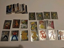 panini. teenage Mutant Hero