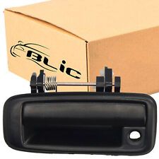 BLIC 6010-19-004401P Türgriff