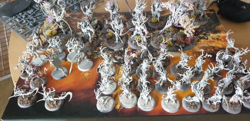 Age sigmar sylvaneth armee - age, of