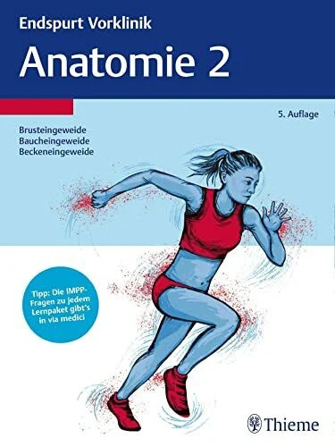 Endspurt vorklinik anatomie - vorklinik:,