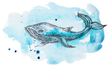 10x car decal sticker nautical