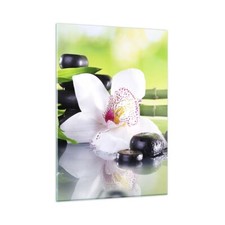 Wandbilder 50x70cm Glasbild