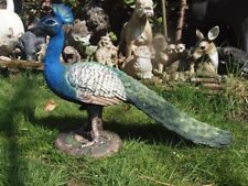 Pfau Vogel Deko Figur 55cm lebensecht Afrika Garten Deko NEU