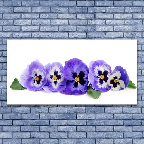 Acrylglasbilder wandbilder - acrylglasbilder,
