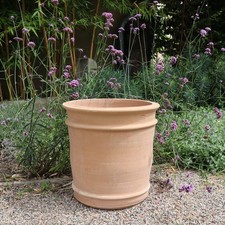 Terracotta Pflanzkübel Canna