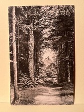 AK, Wartburg, Durchblick von der Hohensonne, ungelaufen, sw