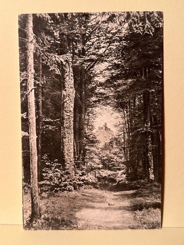 Wartburg durchblick von - durchblick,