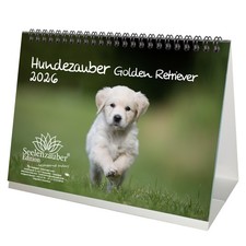 Hundezauber Golden Retriever