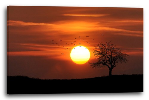 Wandbild vogelschwarm baum am - vogelschwarm,,