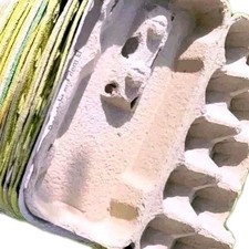 5Eierpappen diverse Farben 10er Eierkartons Eierschachteln Verpackung 