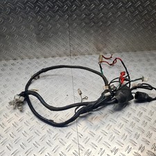 Kabelbaum Tauris Cubana 50 Bj.10-17 2 Takt#27424