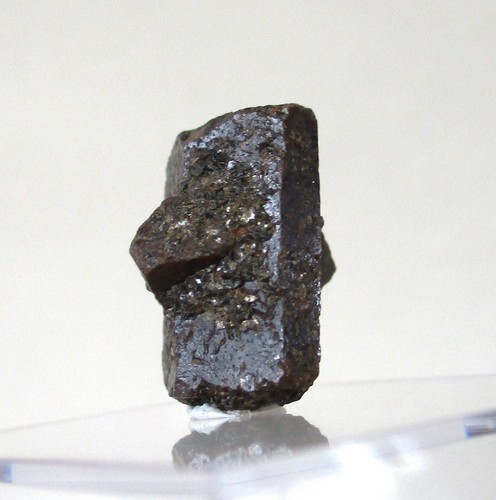 Staurolith gorob - +++,