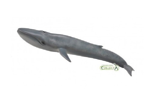 Collecta 88834 blauwal cm - 88834,