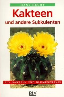 Kakteen und andere