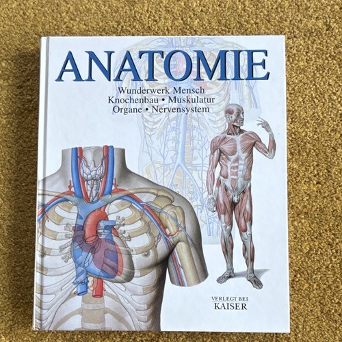 Anatomie wunderwerk mensch - -,
