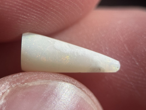 Coober pedy fossiler - pedy, opal