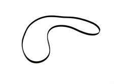 Plattenspielerriemen für DDR RFT Ziphona SC-1800 SC-1900 SC-1920 HiFi Peese Belt