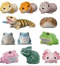 Tenori friends vol reptile - tenori, &