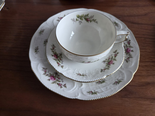Rosenthal sanssouci moosrose - rosenthal,