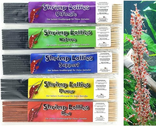 Shrimp lollies set 5x10 - shrimp,