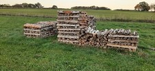 Brennholz fichte jahre - brennholz, fichte,