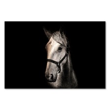 Postereck 2505 Poster Leinwand