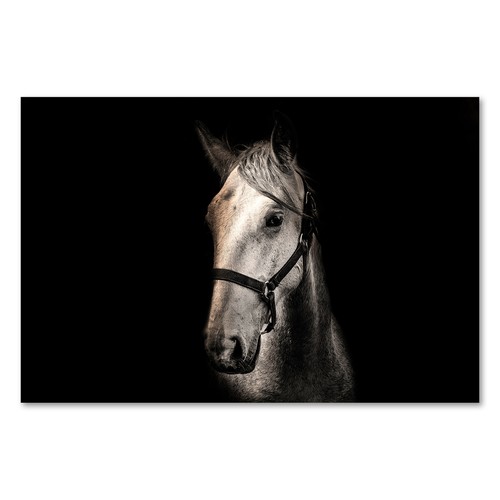 Postereck 2505 poster leinwand - postereck,