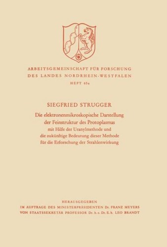 Die elektronenmikroskopische