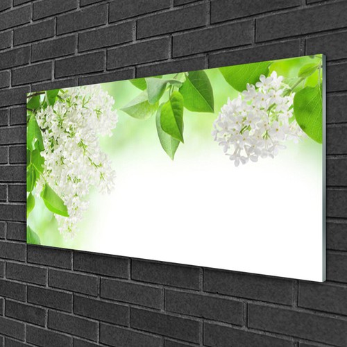 Glasbilder 100x50 wandbild - glasbilder,