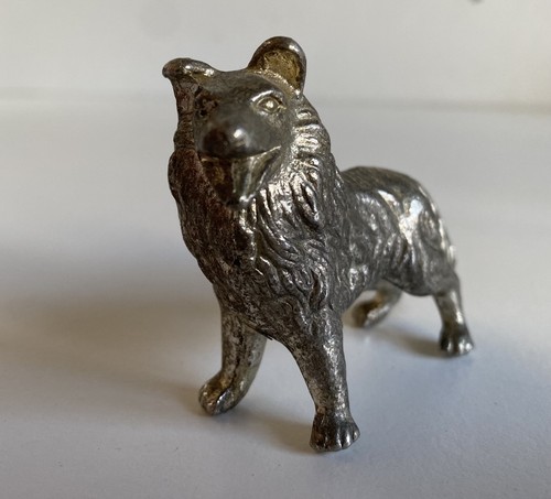 Collie schäferhund hund - schäferhund,