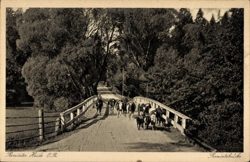 Rominter heide ostpreußen - ak,