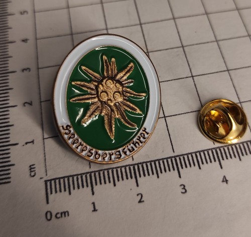 PIN/Anstecker