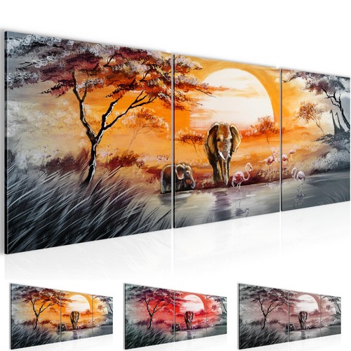 Wandbilder set afrika elefant - set,