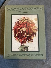 Chrysanthemums Thomas