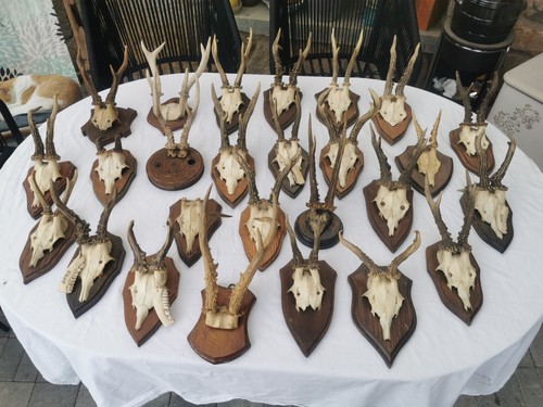 Sammlung konvolut stück - 26,