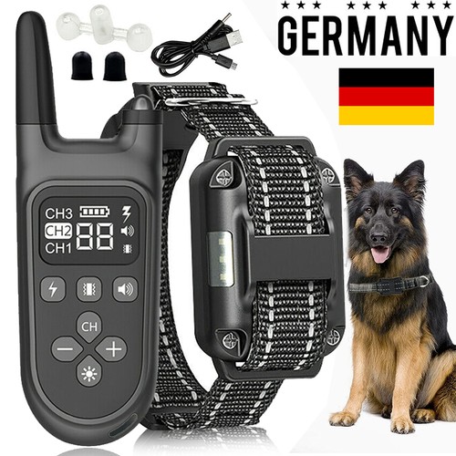 1000m hund ausbildung - 1000m,