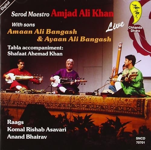 Sarod maestro import - sarod,