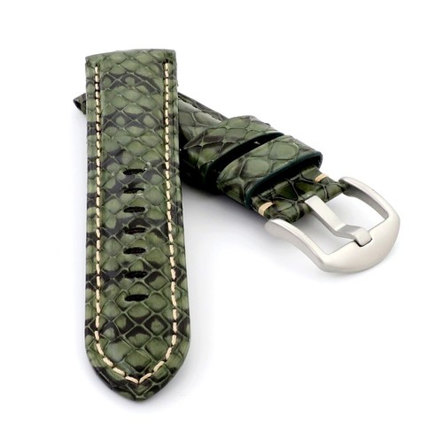 Echt python schlange - echt, python-schlange