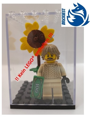 Acryl vitrine für - vitrine, lego®
