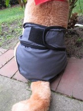 XXL Hunde Schutzhöschen